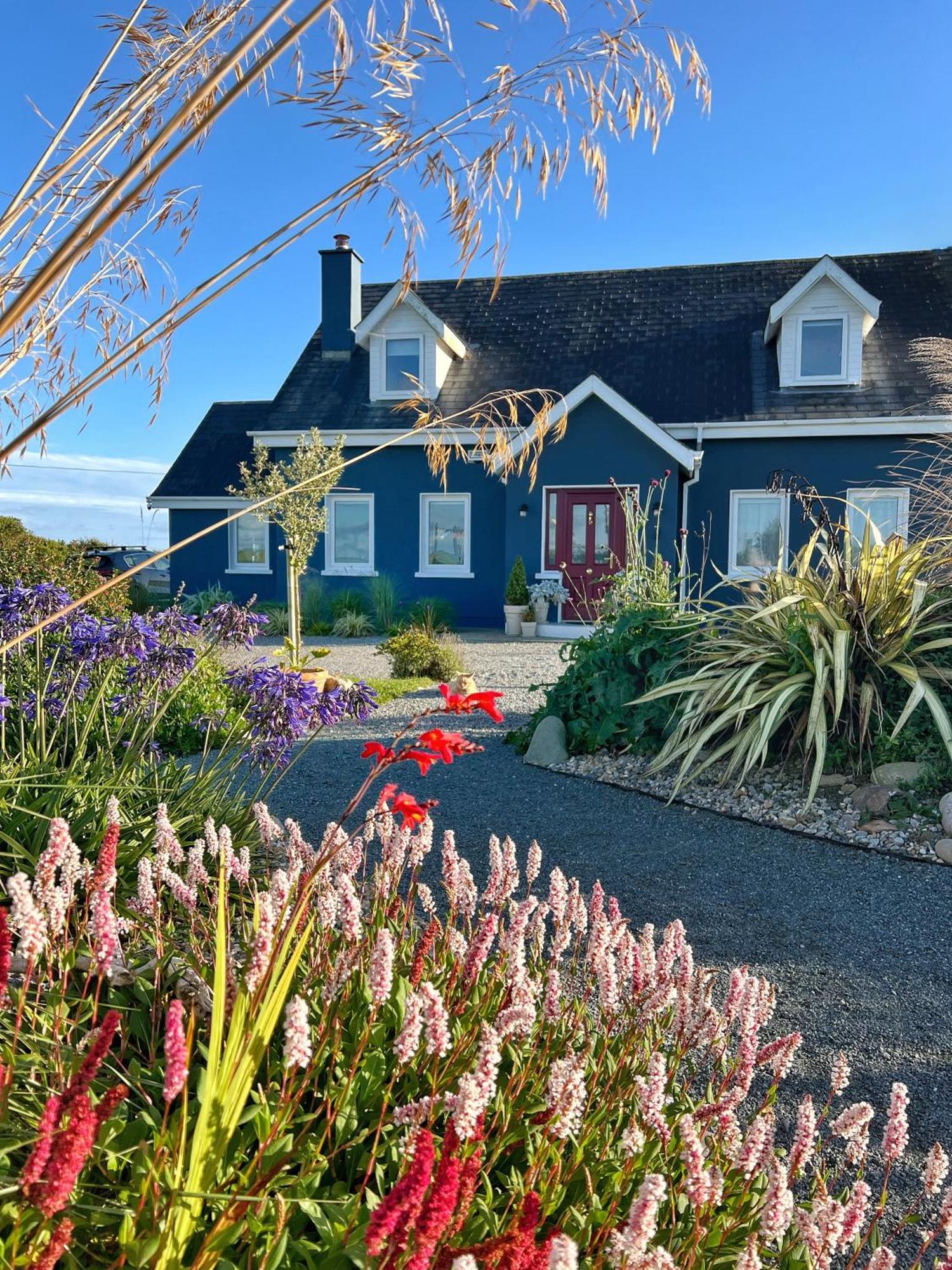 Thistledown Lodge Fethard-on-Sea Exterior foto